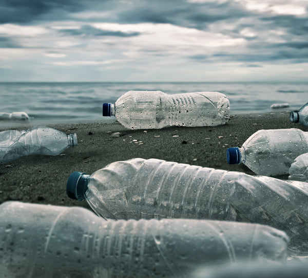 Turning Plastic Waste Into an Opportunity