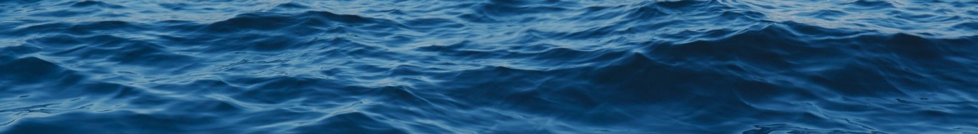 SeaExtend® Color Care