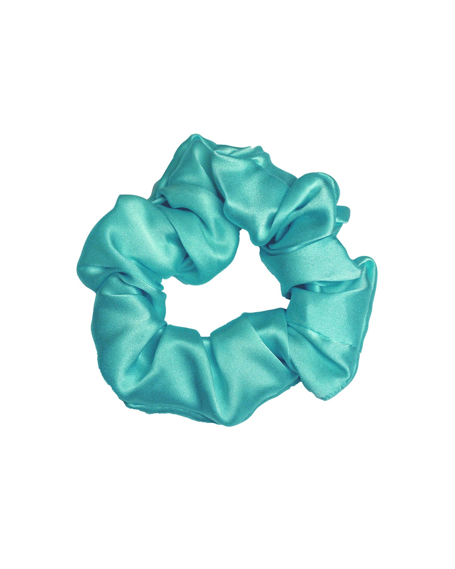 Aquage Hair π Aquage Scrunchie (100% off)
