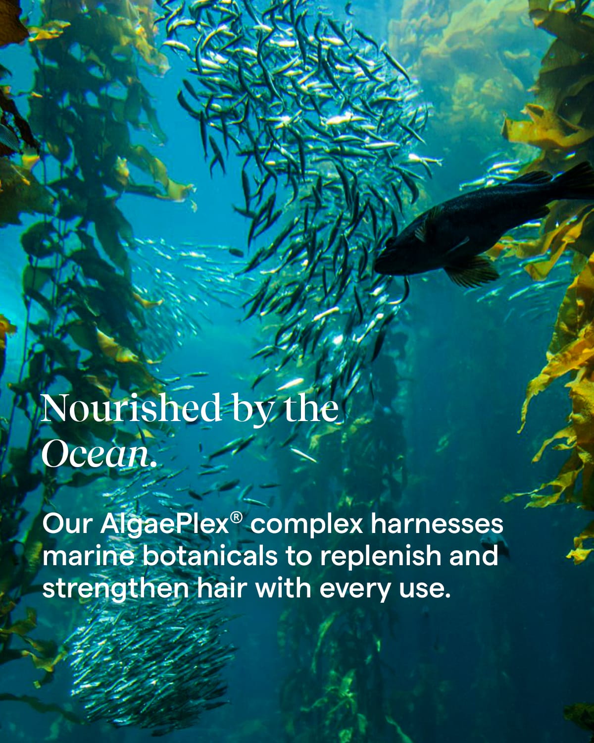 Aquage Hair Care Molding Megagel