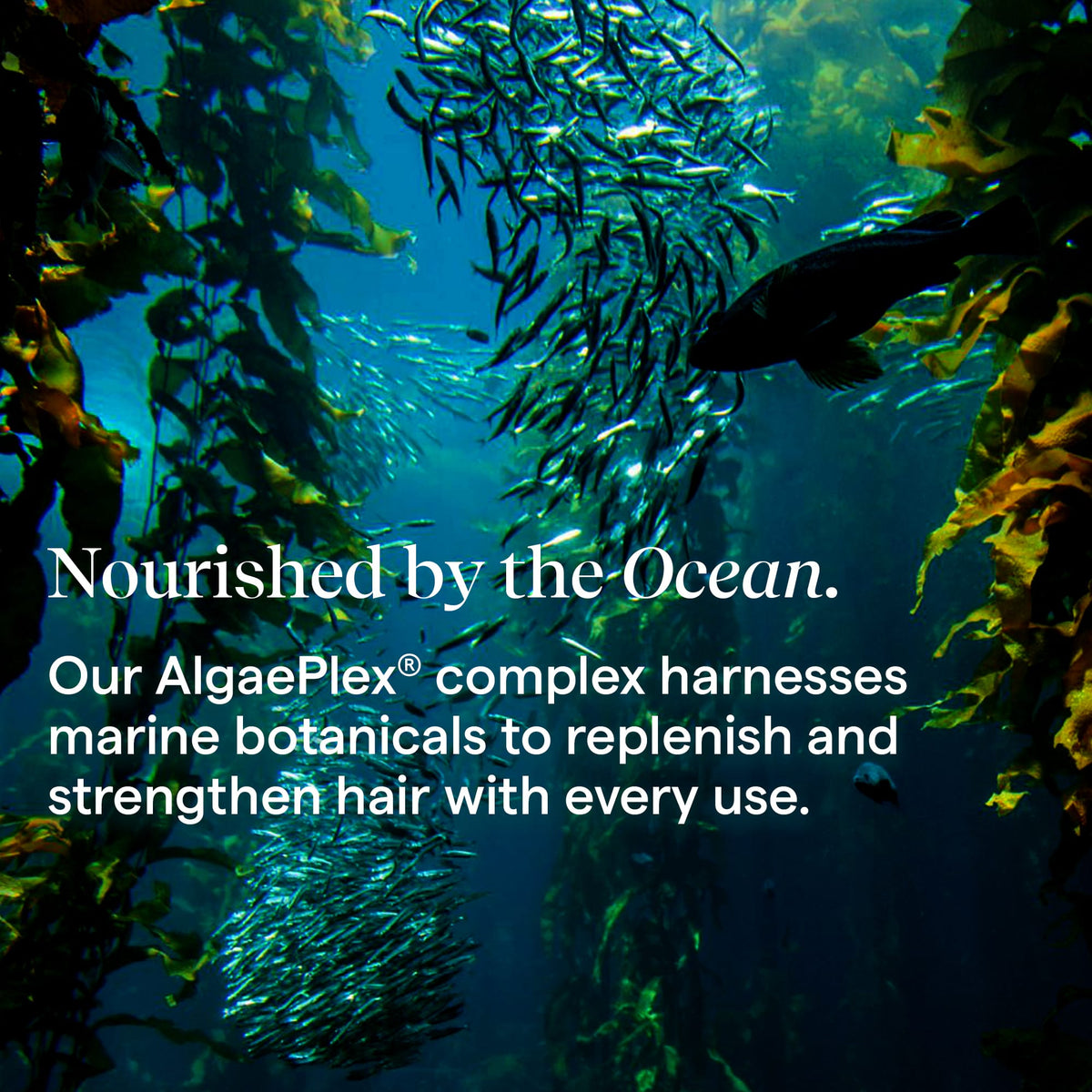 Aquage Hair Care Molding Megagel