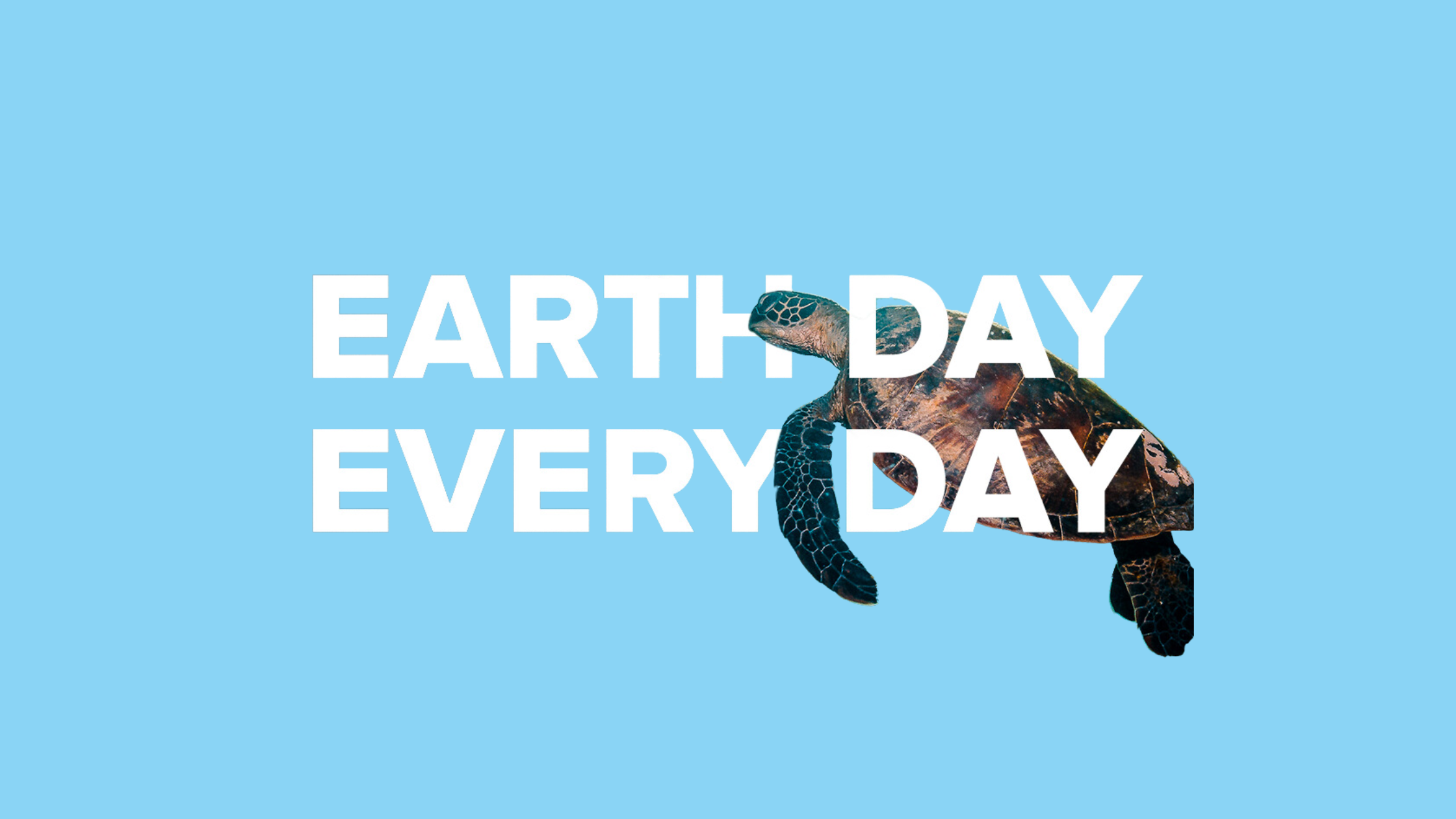 Riding the Wave of Sustainability: Celebrating Earth Day (Every Day) with Aquage