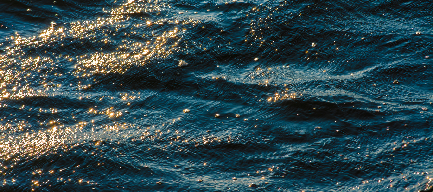 Algae-Enhanced Defense: Summer Haircare That Works as Hard as You Do
