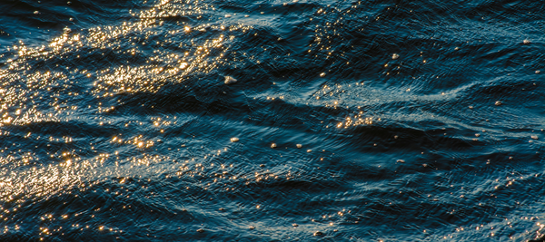 Algae-Enhanced Defense: Summer Haircare That Works as Hard as You Do