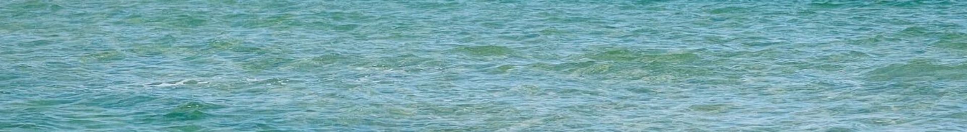Curl