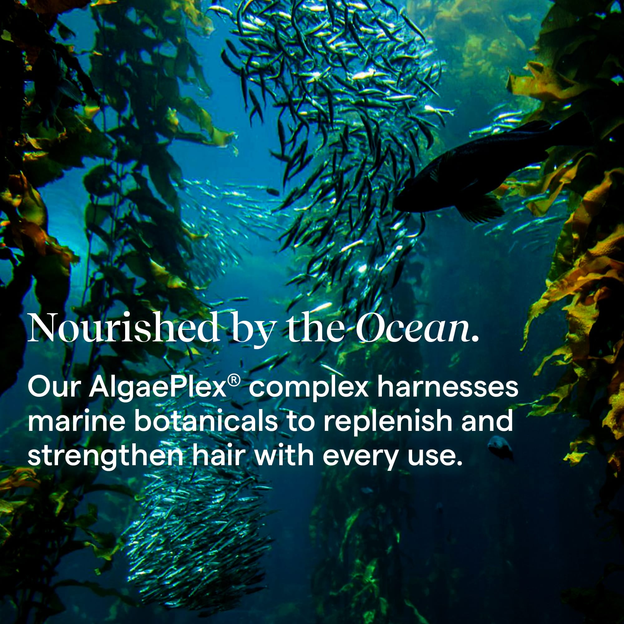 Aquage Hair Care Molding Megagel