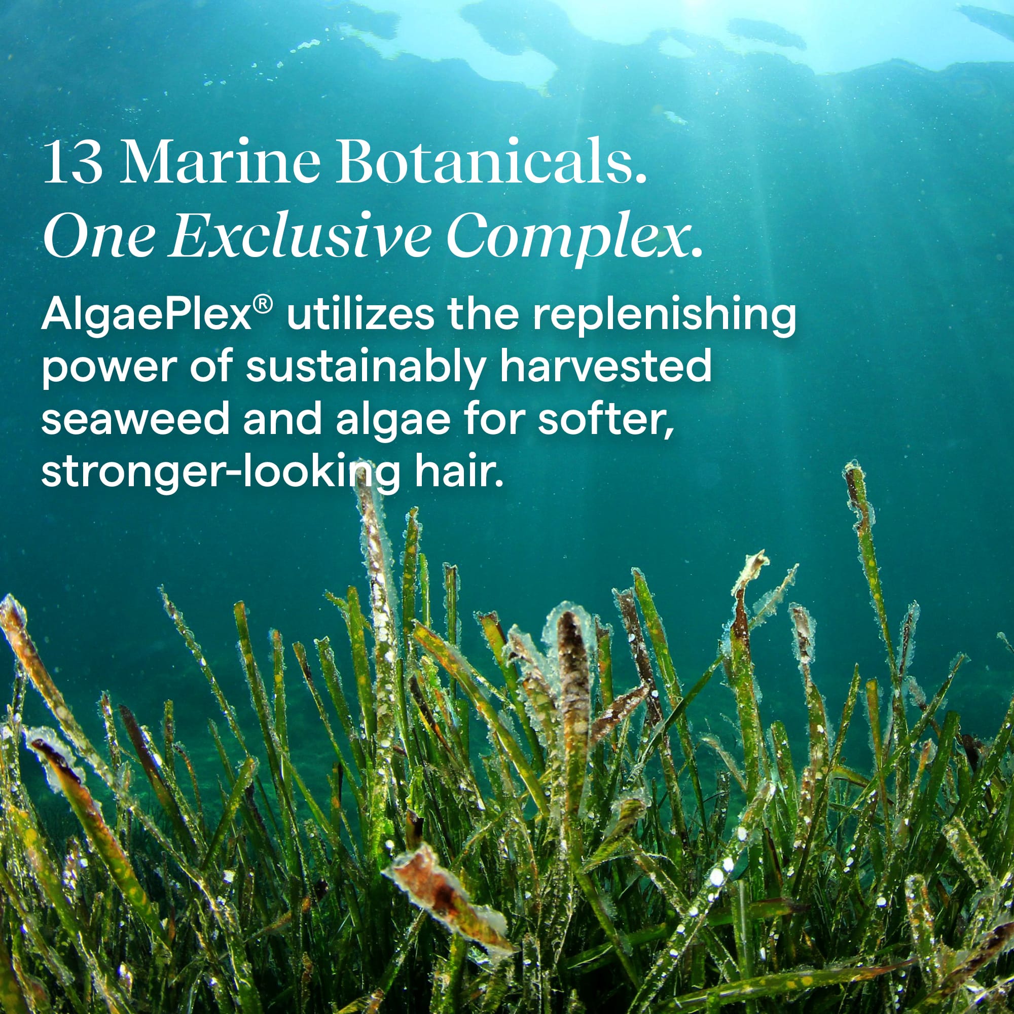 Aquage Styling Defining Gel